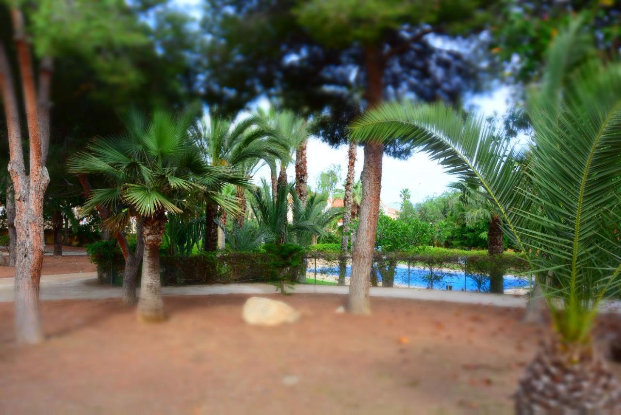 Palmeras, Piscina, Campo De Futbol Y Jardin Privados Mazarron Exterior photo
