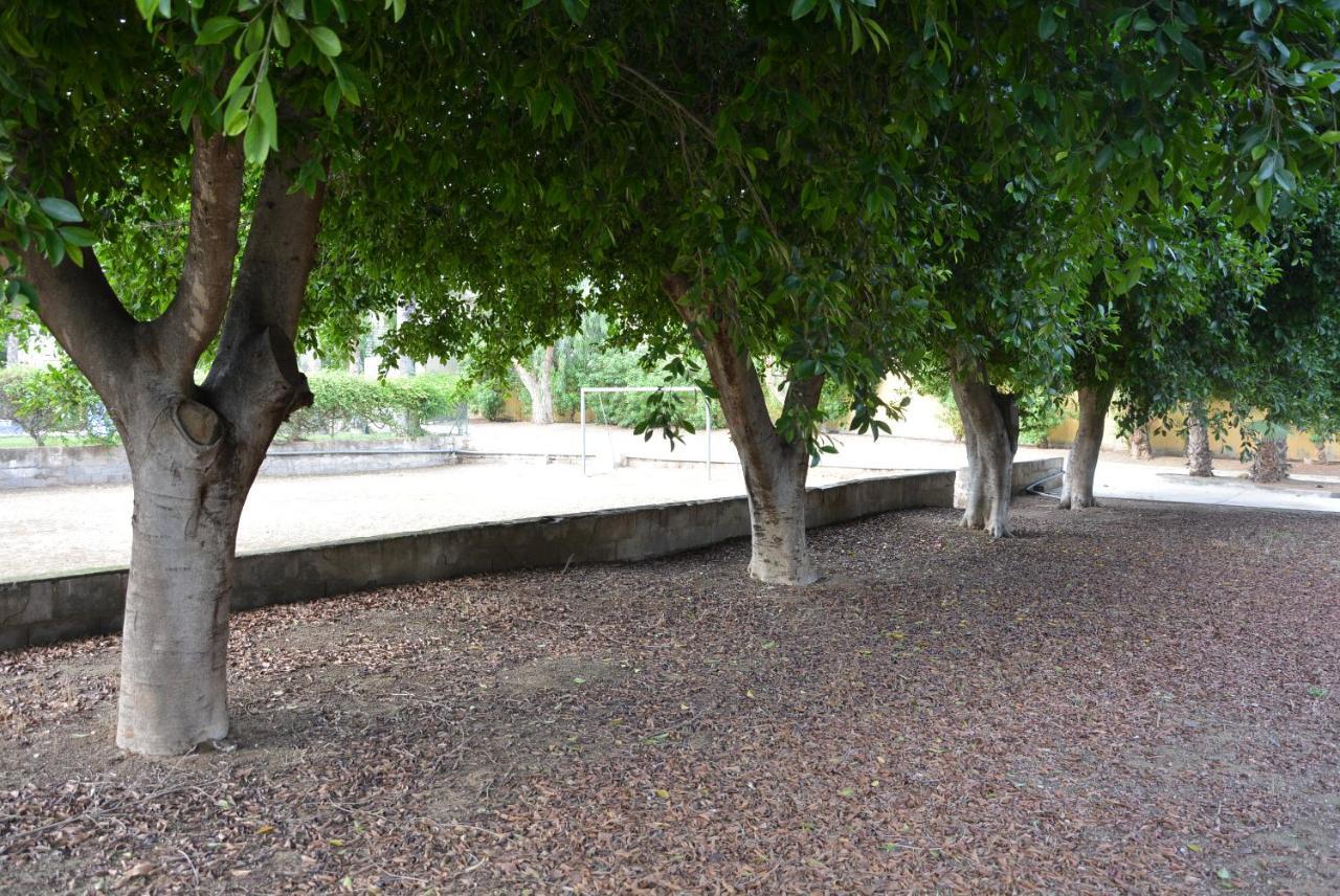 Palmeras, Piscina, Campo De Futbol Y Jardin Privados Mazarron Exterior photo