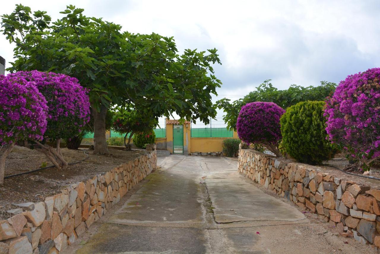 Palmeras, Piscina, Campo De Futbol Y Jardin Privados Mazarron Exterior photo
